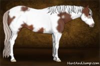 Horse Color:Silver Bay Tobiano Frame 