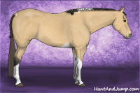 Horse Color:Buckskin Roan Tobiano 