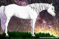 Horse Color:Watercolor Plaid  White Spotted Brown Snowcap Rabicano 
