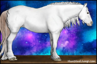 Horse Color:Chestnut Sabino Near Leopard 