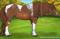 Horse Color:Liver Chestnut Sabino Tobiano 