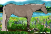 Horse Color:Silver Grullo 