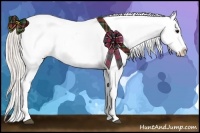 Horse Color:White Spotted Silver Grullo Appaloosa Rabicano 