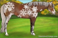 Horse Color:Silver Brown Ice 