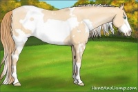 Horse Color:White Spotted Smoky Black Pearl Frame 