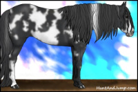 Horse Color:White Spotted Black Frame 