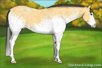 Horse Color:White Spotted Buckskin Ice Splash 