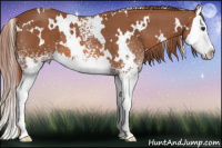 Horse Color:White Spotted Liver Chestnut Splash 