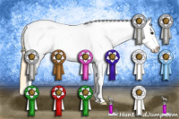 Horse Color:Buckskin Roan Sabino Appaloosa