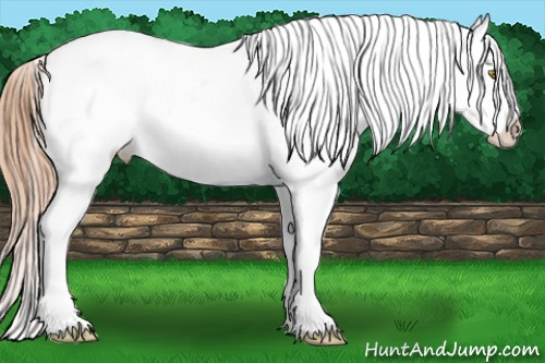 Horse Color: Gold Champagne Splash Near Leopard 