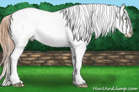 Horse Color:Gold Champagne Splash Near Leopard 