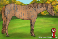 Horse Color:Blue Roan  Brindle
