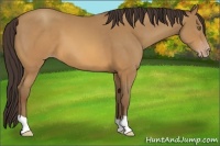 Horse Color:Sable Cream Champagne