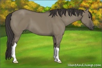 Horse Color:Smoky Grullo 