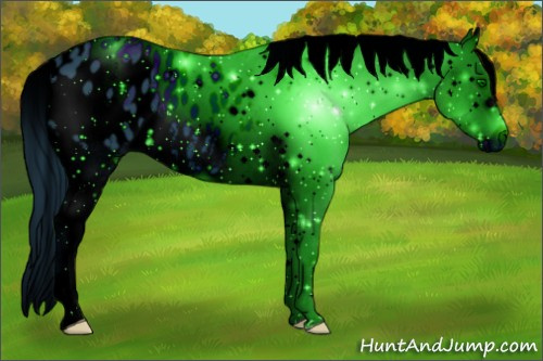 Horse Color: ERROR: UNKNOWN ANOMALY
