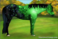 Horse Color:ERROR: UNKNOWN ANOMALY