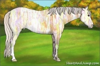 Horse Color:Silver Buckskin Ice 