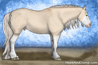 Horse Color:Silver Classic Champagne Dun Splash Frame