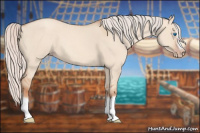 Horse Color:Silver Classic Champagne Dun Splash Frame 