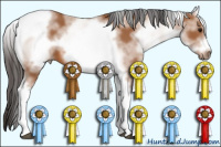 Horse Color:White Spotted Bay Tobiano Frame 