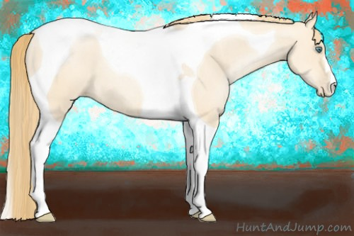 Horse Color: Smoky Grullo Pearl Tobiano 