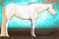Horse Color:Smoky Grullo Pearl Tobiano 