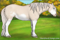 Horse Color:Silver Classic Champagne Dun Splash Frame 