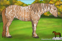 Horse Color:Buckskin Dun Blanket  Brindle