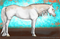Horse Color:Silver Classic Champagne Dun Splash Frame 