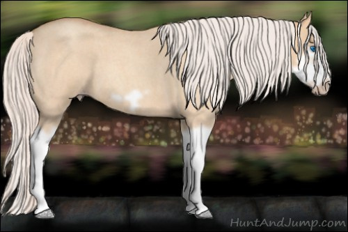 Horse Color: Silver Classic Champagne Roan Dun Splash Frame 