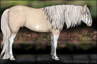 Horse Color:Silver Classic Champagne Roan Dun Splash Frame