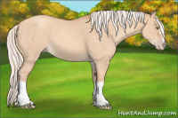 Horse Color:Silver Classic Champagne Dun Splash Frame 