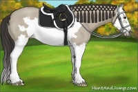 Horse Color:Smoky Grullo Roan Splash Frame 