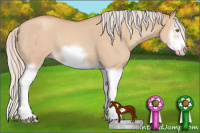 Horse Color:Silver Classic Champagne Dun Splash Frame 