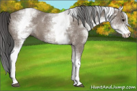 Horse Color:White Spotted Black 