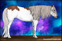 Horse Color:Silver Bay Splash Frame 