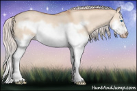 Horse Color:Silver Classic Champagne Dun Splash Frame 