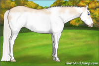 Horse Color:Silver Classic Champagne Dun Splash Frame
