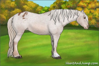 Horse Color:Red Roan Varnish 