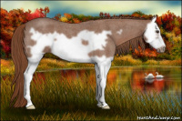 Horse Color:Liver Red Roan Splash Frame
