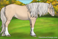 Horse Color:Silver Classic Champagne Dun Splash Frame 