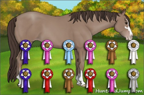 Horse Color: Classic Champagne Sabino 