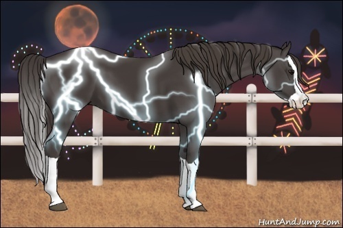 Horse Color: Smoky Black Splash 