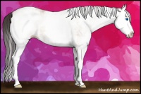 Horse Color:White Spotted Sable Champagne Splash 
