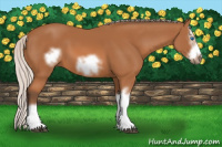 Horse Color:Silver Bay Splash Frame