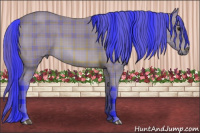 Horse Color:Watercolor Plaid  Bay 