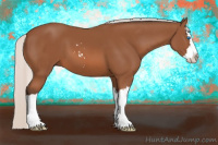 Horse Color:Silver Bay Sabino Splash