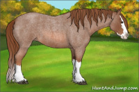 Horse Color:Red Roan Splash 