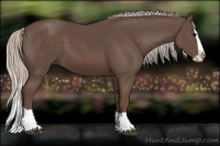 Horse Color:Silver Brown Splash 