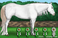 Horse Color:Brown Pearl Frame Snowcap 